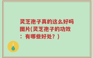 灵芝孢子真的这么好吗图片(灵芝孢子的功效：有哪些好处？)