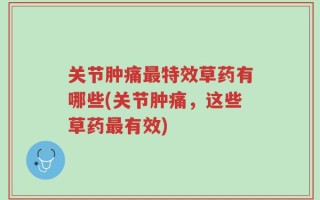 关节肿痛最特效草药有哪些(关节肿痛，这些草药最有效)