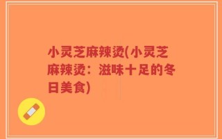 小灵芝麻辣烫(小灵芝麻辣烫：滋味十足的冬日美食)