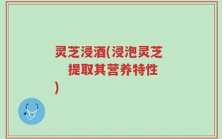 灵芝浸酒(浸泡灵芝    提取其营养特性)