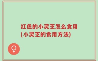 红色的小灵芝怎么食用(小灵芝的食用方法)