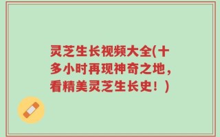 灵芝生长视频大全(十多小时再现神奇之地，看精美灵芝生长史！)
