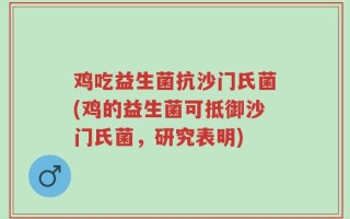鸡吃益生菌抗沙门氏菌(鸡的益生菌可抵御沙门氏菌，研究表明)