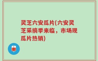 灵芝六安瓜片(六安灵芝采摘季来临，市场现瓜片热销)
