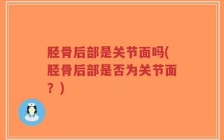 胫骨后部是关节面吗(胫骨后部是否为关节面？)