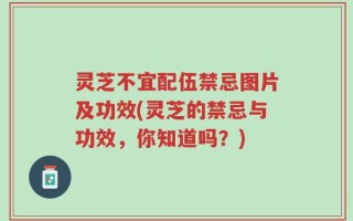 灵芝不宜配伍禁忌图片及功效(灵芝的禁忌与功效，你知道吗？)