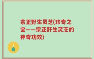 宗正野生灵芝(珍奇之宝——宗正野生灵芝的神奇功效)