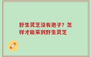 野生灵芝没有孢子？怎样才能采到野生灵芝