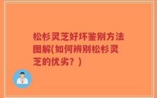 松杉灵芝好坏鉴别方法图解(如何辨别松杉灵芝的优劣？)