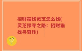 招财猫找灵芝怎么找(灵芝探寻之路：招财猫找寻奇珍)
