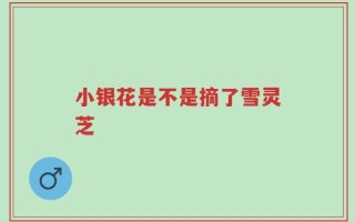小银花是不是摘了雪灵芝