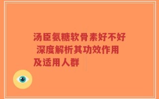 汤臣氨糖软骨素好不好 深度解析其功效作用及适用人群