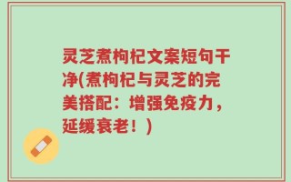 灵芝煮枸杞文案短句干净(煮枸杞与灵芝的完美搭配：增强免疫力，延缓衰老！)