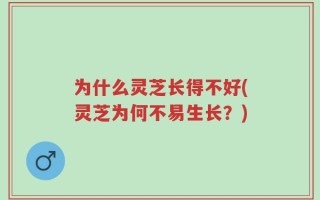 为什么灵芝长得不好(灵芝为何不易生长？)
