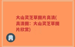 大山灵芝草图片高清(高清图：大山灵芝草图片欣赏)