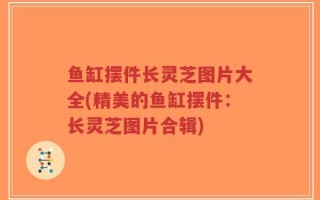 鱼缸摆件长灵芝图片大全(精美的鱼缸摆件：长灵芝图片合辑)