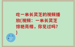 吃一米长灵芝的视频播放(视频：一米长灵芝惊艳亮相，你见过吗？)