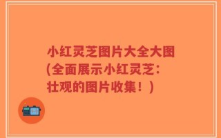 小红灵芝图片大全大图(全面展示小红灵芝：壮观的图片收集！)