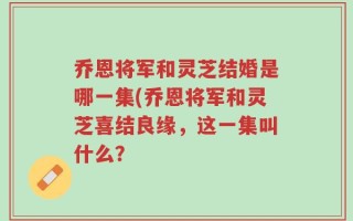 乔恩将军和灵芝结婚是哪一集(乔恩将军和灵芝喜结良缘，这一集叫什么？