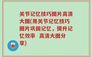 关节记忆技巧图片高清大图(用关节记忆技巧图片巩固记忆，提升记忆效率  高清大图分享)