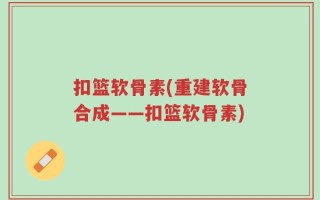 扣篮软骨素(重建软骨合成——扣篮软骨素)