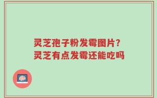 灵芝孢子粉发霉图片？灵芝有点发霉还能吃吗