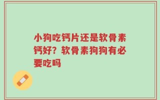 小狗吃钙片还是软骨素钙好？软骨素狗狗有必要吃吗