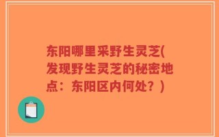 东阳哪里采野生灵芝(发现野生灵芝的秘密地点：东阳区内何处？)