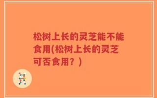 松树上长的灵芝能不能食用(松树上长的灵芝可否食用？)