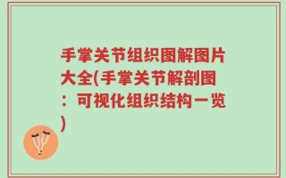 手掌关节组织图解图片大全(手掌关节解剖图：可视化组织结构一览)