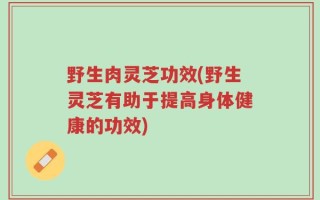 野生肉灵芝功效(野生灵芝有助于提高身体健康的功效)