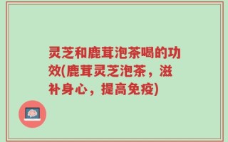 灵芝和鹿茸泡茶喝的功效(鹿茸灵芝泡茶，滋补身心，提高免疫)
