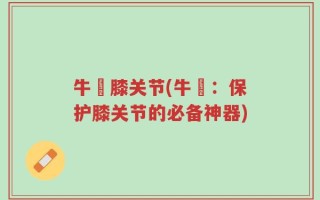 牛犇膝关节(牛犇：保护膝关节的必备神器)