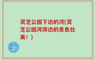 灵芝公园下边的河(灵芝公园河岸边的景色壮美！)