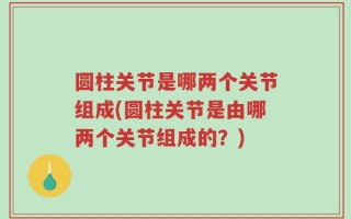 圆柱关节是哪两个关节组成(圆柱关节是由哪两个关节组成的？)