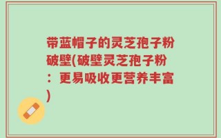 带蓝帽子的灵芝孢子粉破壁(破壁灵芝孢子粉：更易吸收更营养丰富)