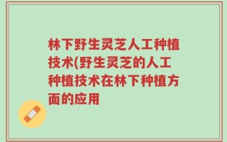 林下野生灵芝人工种植技术(野生灵芝的人工种植技术在林下种植方面的应用