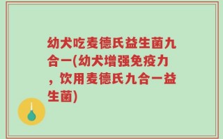 幼犬吃麦德氏益生菌九合一(幼犬增强免疫力，饮用麦德氏九合一益生菌)