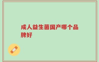 成人益生菌国产哪个品牌好