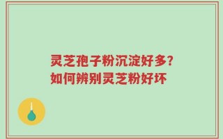 灵芝孢子粉沉淀好多？如何辨别灵芝粉好坏