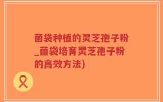 菌袋种植的灵芝孢子粉_菌袋培育灵芝孢子粉的高效方法)