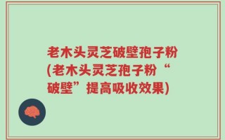 老木头灵芝破壁孢子粉(老木头灵芝孢子粉“破壁”提高吸收效果)
