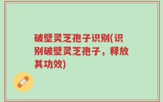 破壁灵芝孢子识别(识别破壁灵芝孢子，释放其功效)