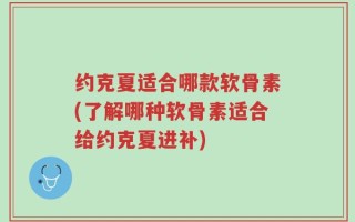 约克夏适合哪款软骨素(了解哪种软骨素适合给约克夏进补)