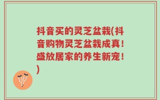 抖音买的灵芝盆栽(抖音购物灵芝盆栽成真！盛放居家的养生新宠！)