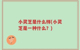 小灵芝是什么样(小灵芝是一种什么？)