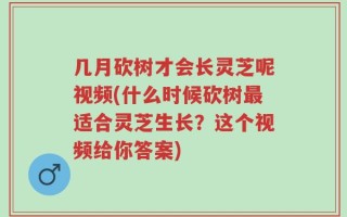 几月砍树才会长灵芝呢视频(什么时候砍树最适合灵芝生长？这个视频给你答案)