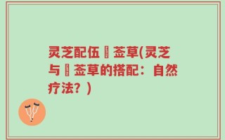 灵芝配伍豨莶草(灵芝与豨莶草的搭配：自然疗法？)