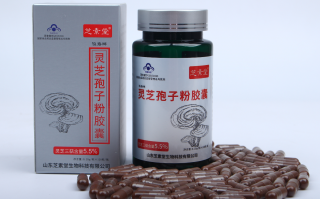 破壁灵芝孢子粉什么人不能喝？要注意什么？
