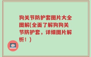 狗关节防护套图片大全图解(全面了解狗狗关节防护套，详细图片解析！)